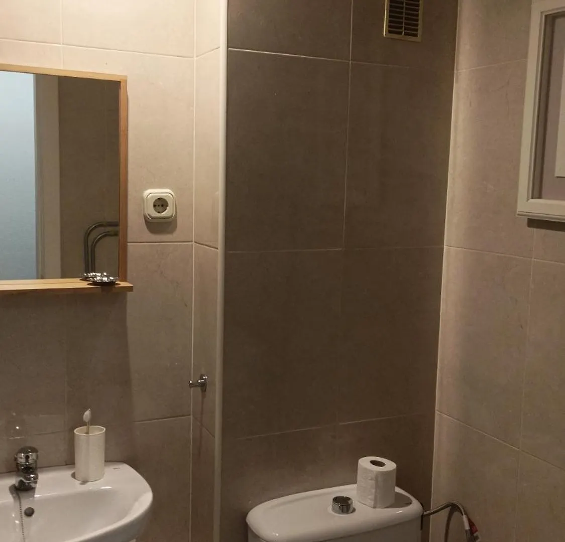 公寓 Apartamento Interior Malaga Casco Historico公寓 西班牙